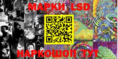 шишки Аргун