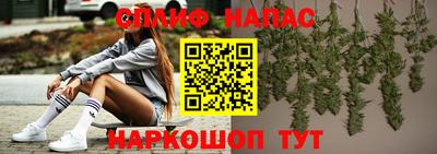 шишки Аргун